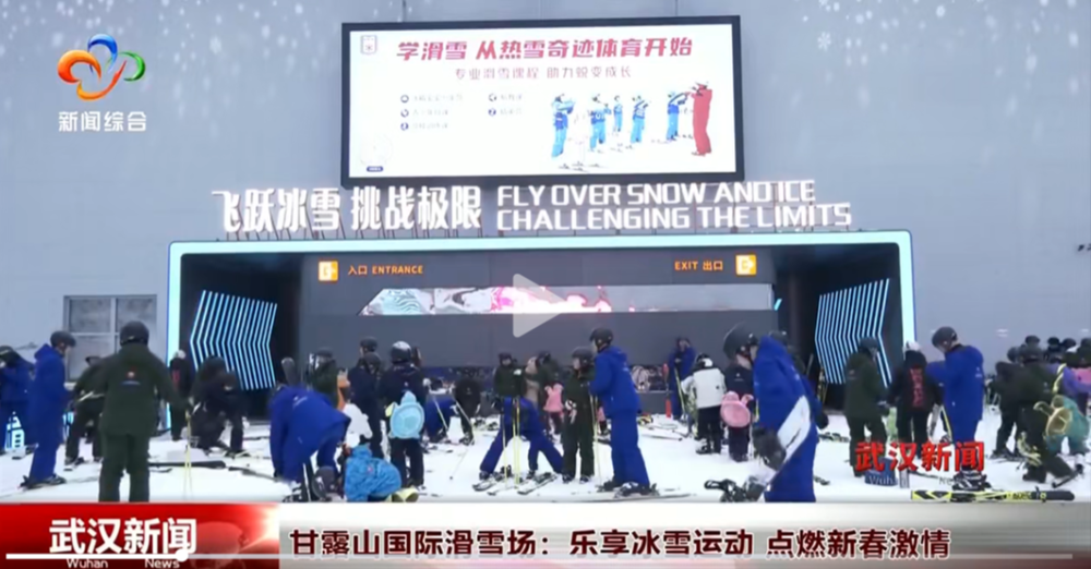 两队皆为欧