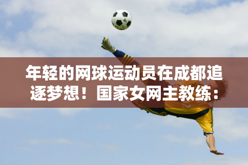 定性以及中